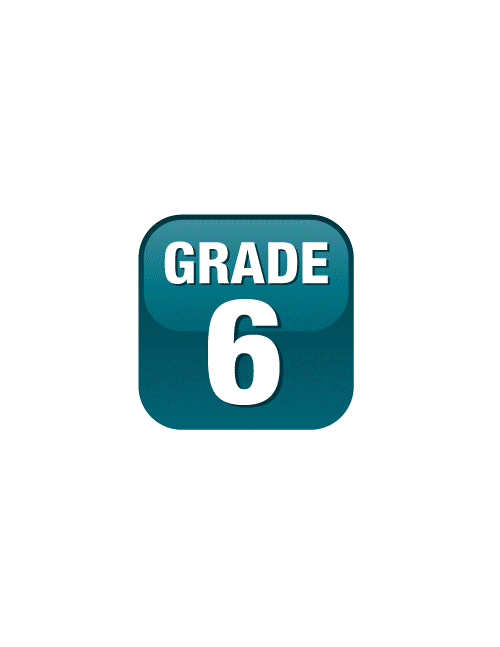 Grade 6 Success Snapshot: Online Mock Math Exam