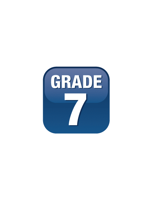 Grade 7 Math Milestone: Online Mock Exam