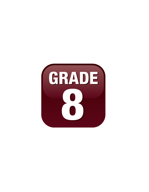 Grade 8 Math Readiness: Online Mock Exam